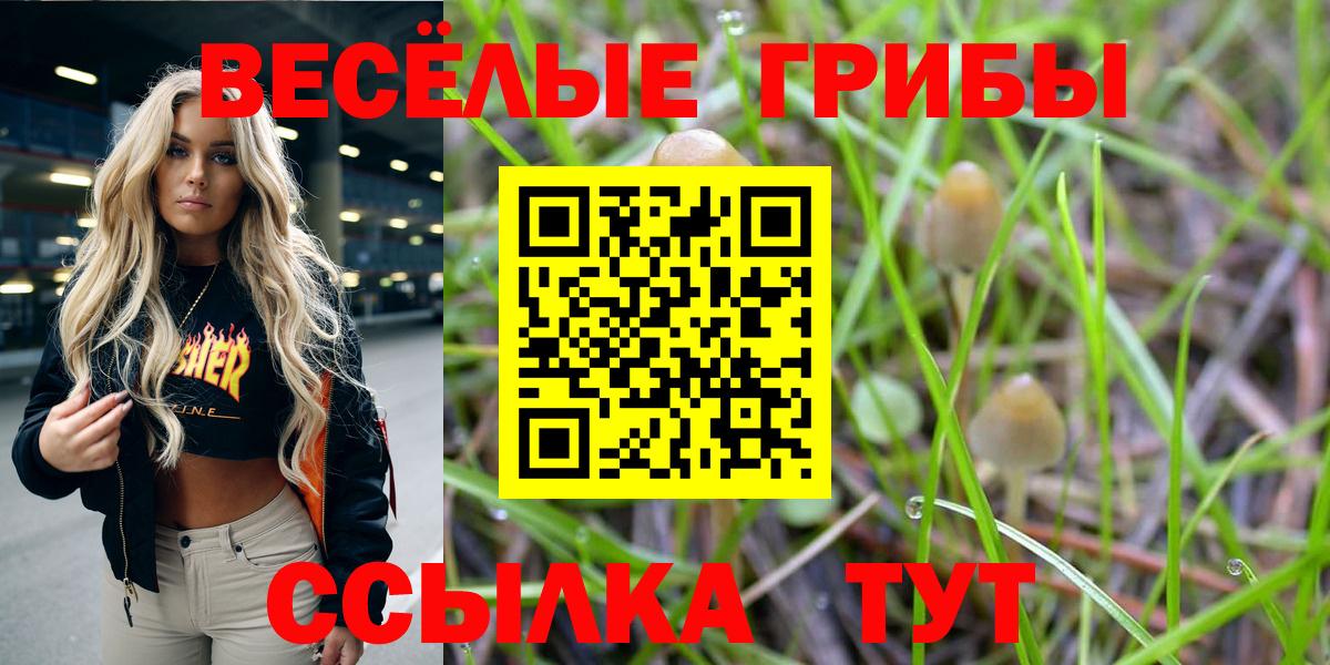 Галлюциногенные грибы мицелий Бутурлиновка